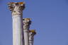 Photo ID: 056837, Capitals of the columns (87Kb)