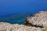 Photo ID: 057000, Coral bed beneath the sea (183Kb)