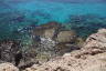 Photo ID: 057007, Looking down to the current sea bed (232Kb)