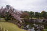 Photo ID: 057091, Cherry trees and water (172Kb)