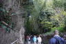 Photo ID: 057126, Entering the bamboo forest (235Kb)