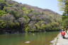 Photo ID: 057147, By the banks of the Katsura (189Kb)