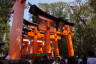 Photo ID: 057167, Senbon Torii (206Kb)