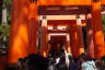 Photo ID: 057168, Start of the 1000 Torii Gates (144Kb)