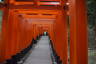 Photo ID: 057174, A tunnel of torii gates (136Kb)