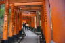 Photo ID: 057180, Through the Torii gates (156Kb)