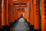 Photo ID: 057195, Through the Torii gates (154Kb)