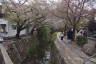 Photo ID: 057211, Start of the Philosophers Path (233Kb)