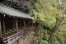 Photo ID: 057241, Wooden walkway (247Kb)