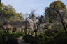 Photo ID: 057366, Entering the Heian Shrine Gardens (202Kb)
