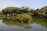 Photo ID: 057381, Small island in the lake (157Kb)