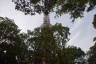 Photo ID: 057474, Tokyo Tower appearing through the trees (204Kb)