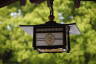 Photo ID: 057576, Lantern (121Kb)