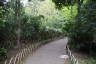 Photo ID: 057583, Pathways of the Meiji Jingu Gyoen (233Kb)