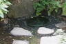 Photo ID: 057587, Kiyomasa's Well (178Kb)