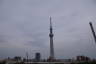 Photo ID: 057599, Skytree from the Sakurabashi Bridge (77Kb)