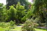 Photo ID: 057828, Jardin botanique de Metz (278Kb)