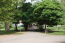 Photo ID: 057942, Tree lined path (207Kb)
