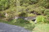 Photo ID: 058125, Bunker slowly being reclaimed (242Kb)