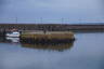 Photo ID: 058536, The pier where William III landed in 1690 (104Kb)
