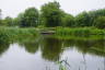 Photo ID: 058675, Mill Ponds after the rain (155Kb)