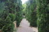 Photo ID: 058828, In the Roman Garden (200Kb)