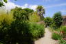 Photo ID: 059313, Deep in the walled garden (219Kb)