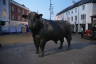 Photo ID: 059597, The Bull statue (132Kb)