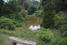 Photo ID: 059753, Looking down on the Middle Pond (199Kb)