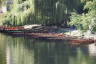 Photo ID: 060519, Punts awaiting punters (210Kb)