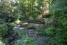 Photo ID: 060592, Pond and bridge (250Kb)