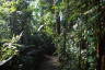 Photo ID: 060600, Inside the Tropicarium (241Kb)