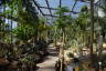 Photo ID: 060608, Looking through the Succulent House (266Kb)