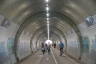 Photo ID: 060689, Looking through the pedestrian and cyclist tunnel (131Kb)
