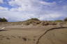 Photo ID: 060740, Dunes behind the beach (138Kb)