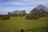Photo ID: 062267, On the top of Cissbury Ring (144Kb)