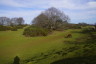 Photo ID: 062272, On the top of Cissbury Ring (150Kb)