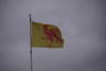 Photo ID: 062883, Walloon flag (65Kb)
