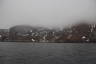 Photo ID: 064761, Heading into the Fjord (104Kb)