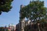 Photo ID: 065679, Tower and Tree (187Kb)