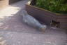 Photo ID: 066078, A concrete Seal (155Kb)