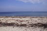Photo ID: 066096, View out to sea from the North Beach (162Kb)