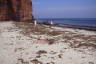 Photo ID: 066097, End of the Nordstrand and the remnants of the islands railway (187Kb)