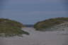 Photo ID: 066157, Path through the dunes (93Kb)