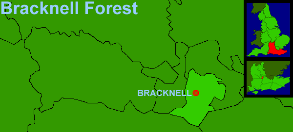 England - Bracknell Forest (13Kb)
