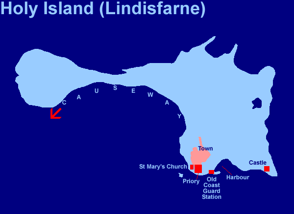 Holy Island (8Kb)