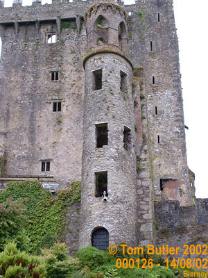 Photo ID: 000126, Ruins of a tower at Blarney Castle, Blarney, Ireland