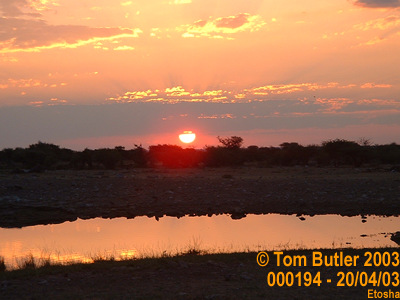 Photo ID: 000194, Sunset over the waterhole, Etosha, Namibia
