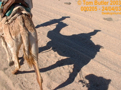 Photo ID: 000205, Camel riding in the desert, Swakopmund, Namibia