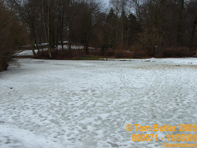 Photo ID: 000571, A frozen lake in the parkland surrounding Charlottenlund Slot, Charlottenlund, Denmark